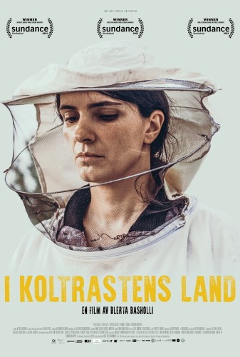 Affisch för I koltrastens land