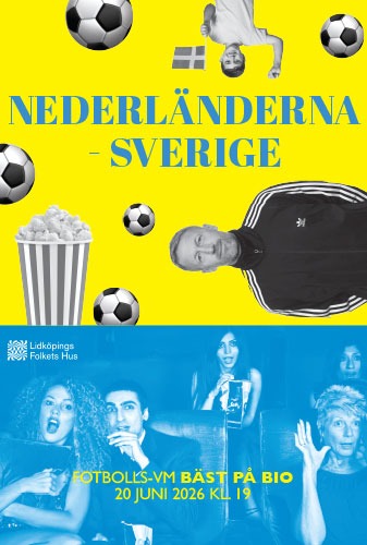 Fotbolls-VM: Nederländerna-Sverige