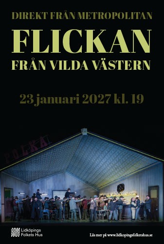 Flickan från Vilda Western